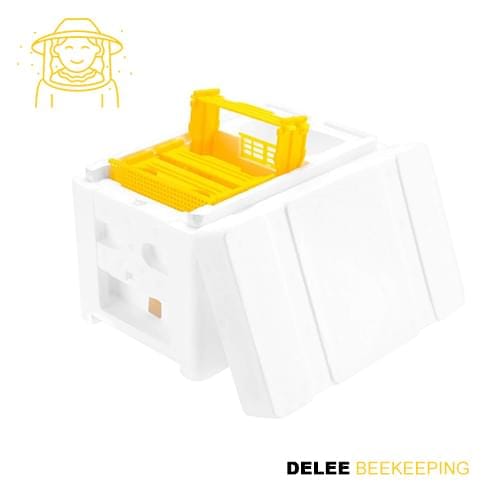 Foam Nuc Box DEQBS-15